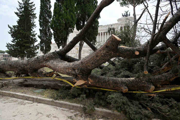 Alberi crollati a Roma